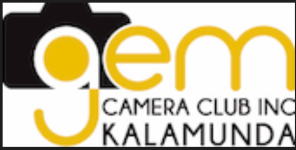 Site logo